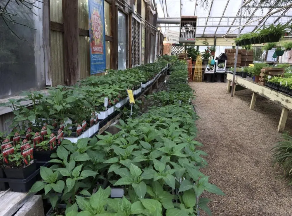 Local yard maintenance in Big Spring, TX - Johansen Landscape & Nursery