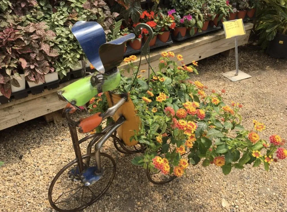 Top-rated yard cleanup service in Big Spring, TX - Johansen Landscape & Nursery