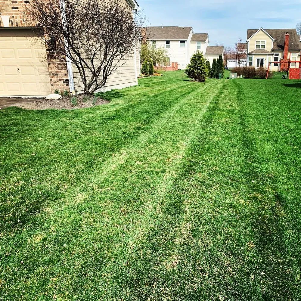 Custom yard cleanup service near you in Powell, OH by Johansen's Landscapes