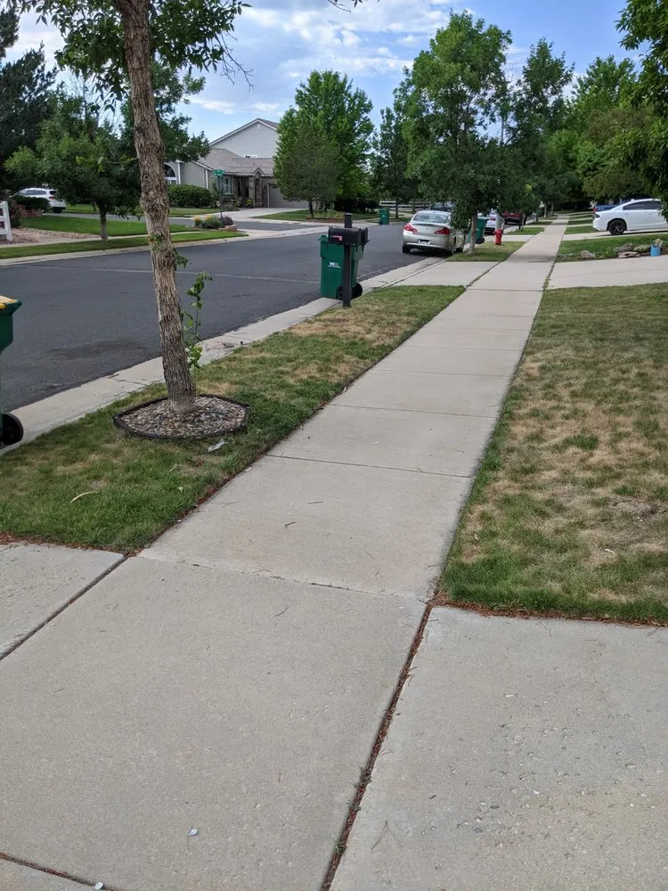 Affordable residential landscaping for residential properties in Broomfield, CO by John & Son Landscape-Irrigation