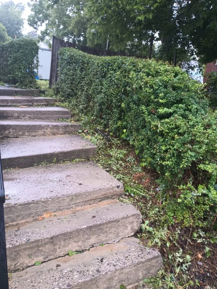 Custom yard maintenance in Newburgh, NY by John 316 Landscaping