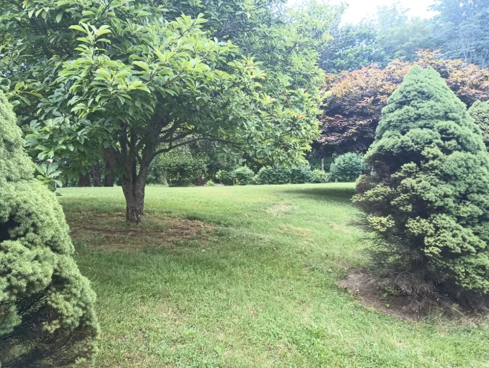 Local residential landscaping in Newburgh, NY by John 316 Landscaping