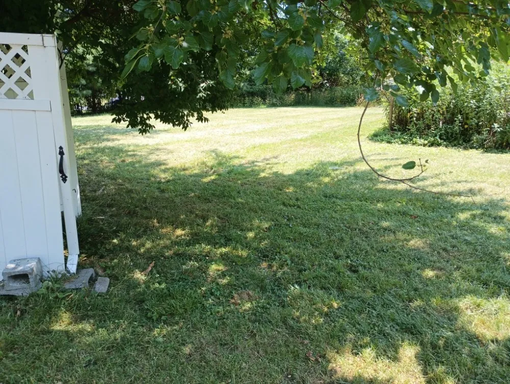 Expert yard maintenance in Newburgh, NY - John 316 Landscaping