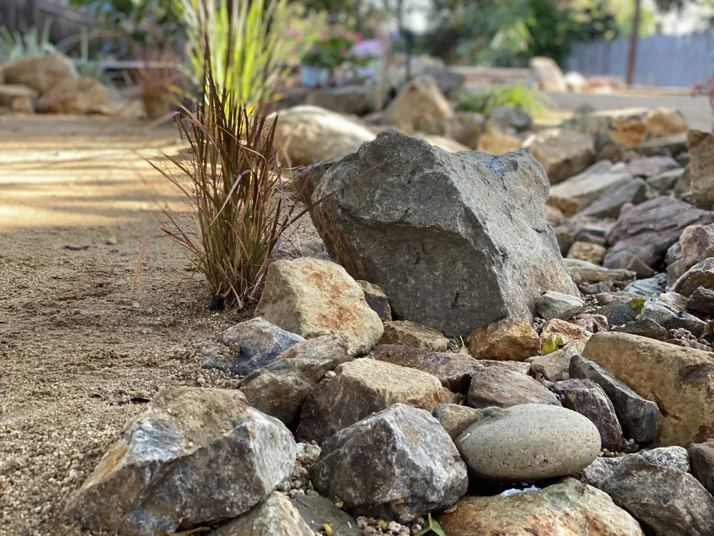 Professional lawn care service for year-round maintenance in Escondido, CA by John A Douglas Landscape