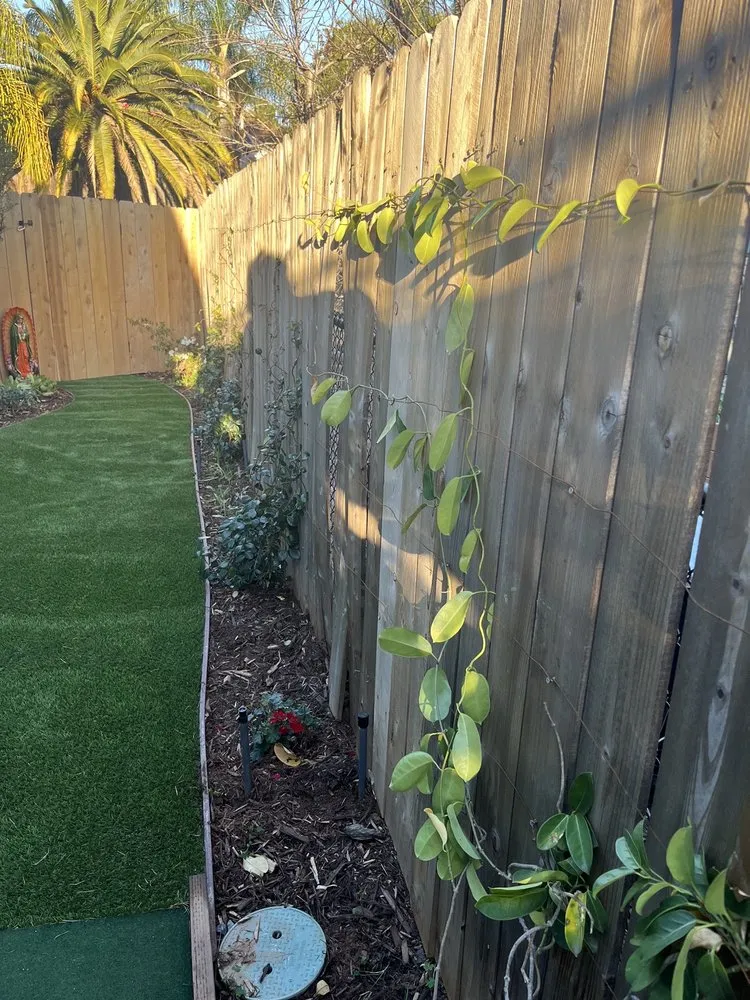 Trusted yard maintenance in Escondido, CA - John A Douglas Landscape