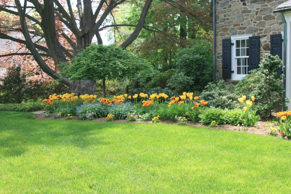 Local lawn mowing service for year-round maintenance across Ardmore, PA - John A. Pinto Landscaping