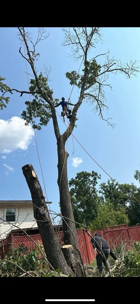 Trusted yard maintenance for beautiful yards in Manassas, VA by John Allen Tree And Landscaping