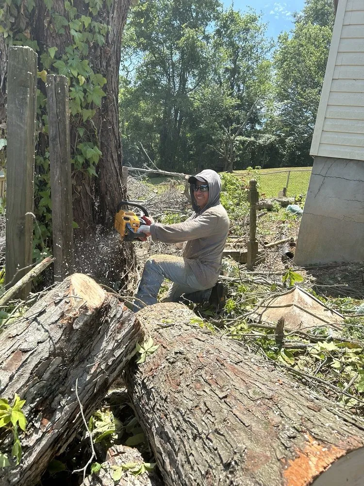 Reliable garden landscaping in Manassas, VA - John Allen Tree And Landscaping