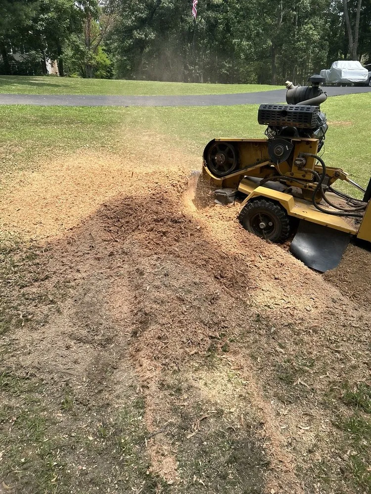 Reliable yard maintenance in Manassas, VA by John Allen Tree And Landscaping