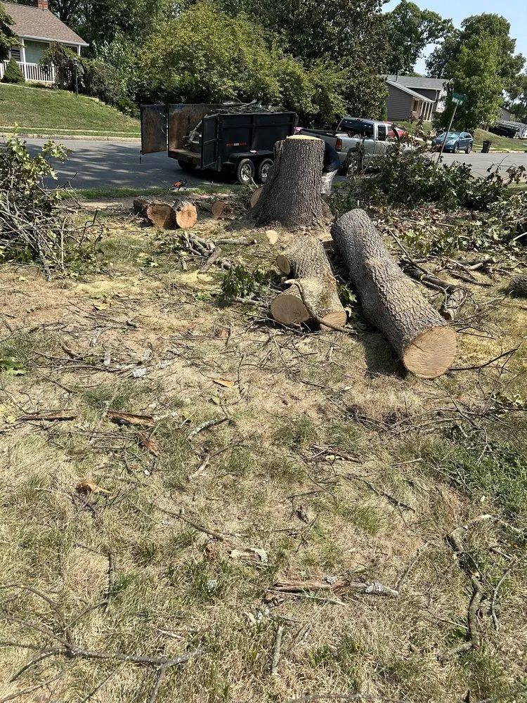 Expert landscape installation in Manassas, VA - John Allen Tree And Landscaping