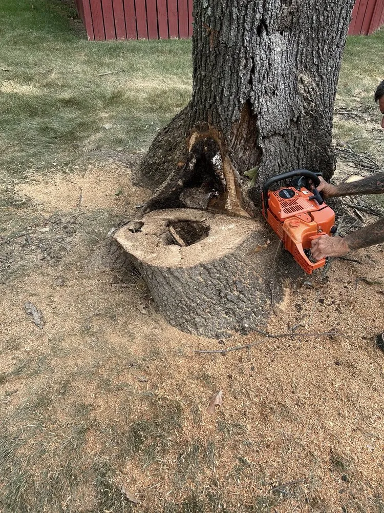 Top-rated lawn care service with custom design across Manassas, VA - John Allen Tree And Landscaping