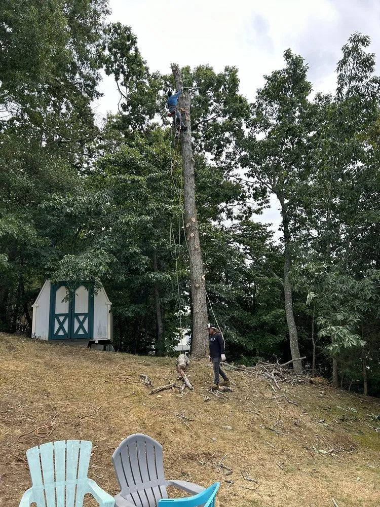 Custom residential landscaping in Manassas, VA - John Allen Tree And Landscaping