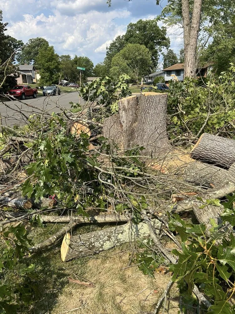 Trusted lawn care service for homes in Manassas, VA by John Allen Tree And Landscaping