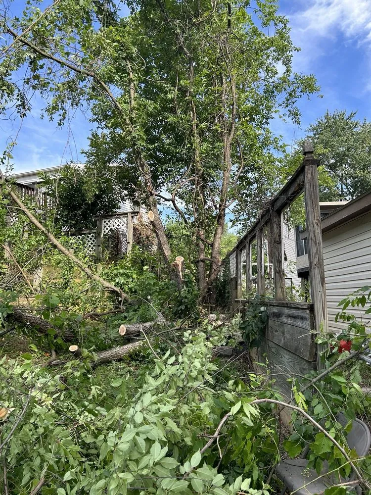 Custom landscape design in Manassas, VA by John Allen Tree And Landscaping