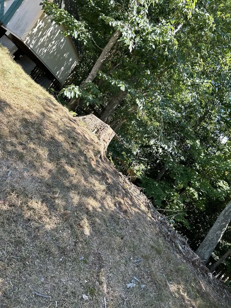 Custom yard cleanup service experts serving Manassas, VA - John Allen Tree And Landscaping