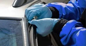 Expert outdoor landscaping in Manassas, VA by John Allen Tree And Landscaping