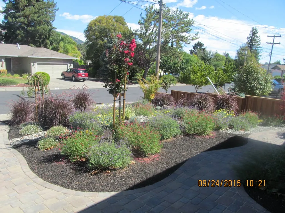 Custom lawn care service experts serving Petaluma, CA - John Antonio Landscape Management