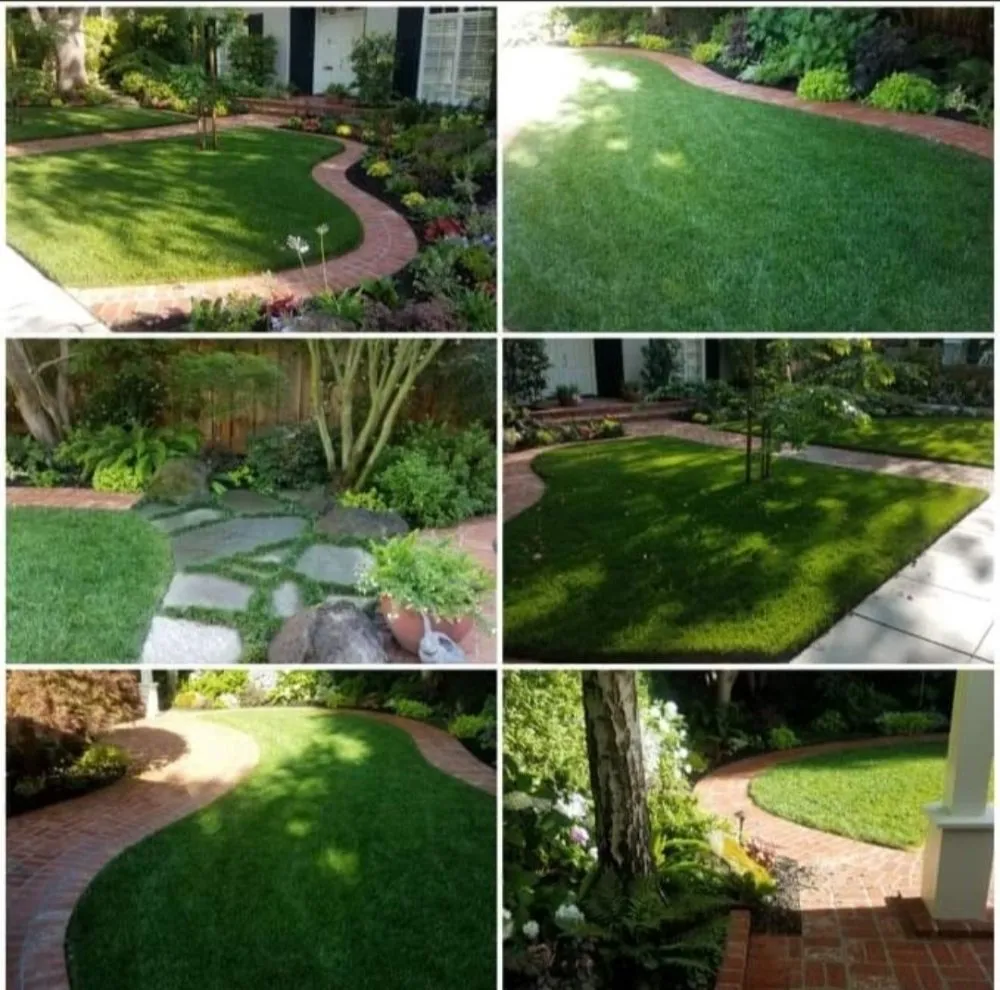 Trusted yard cleanup service with custom design across Comfort, TX - John B Molinari Landscape Construction