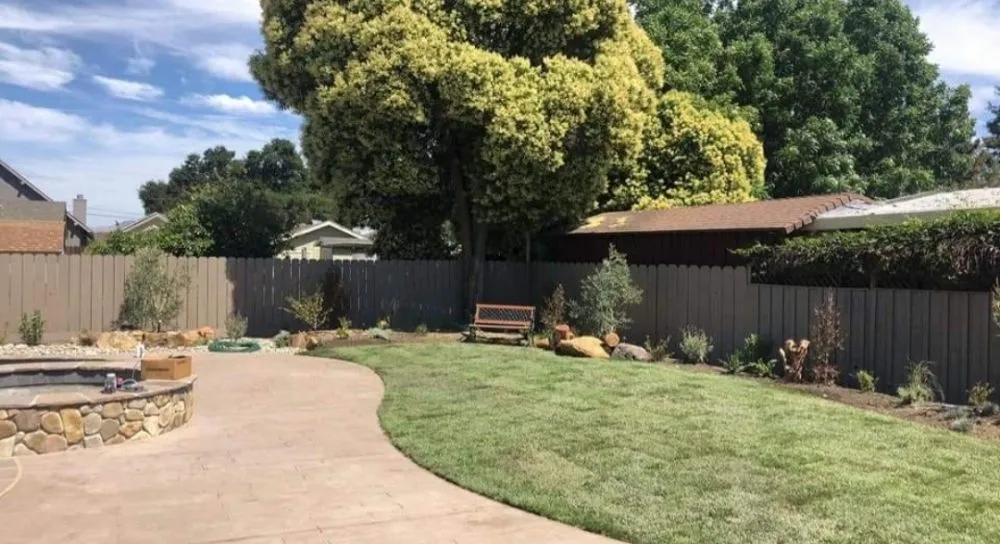 Affordable yard cleanup service for beautiful yards in Comfort, TX by John B Molinari Landscape Construction