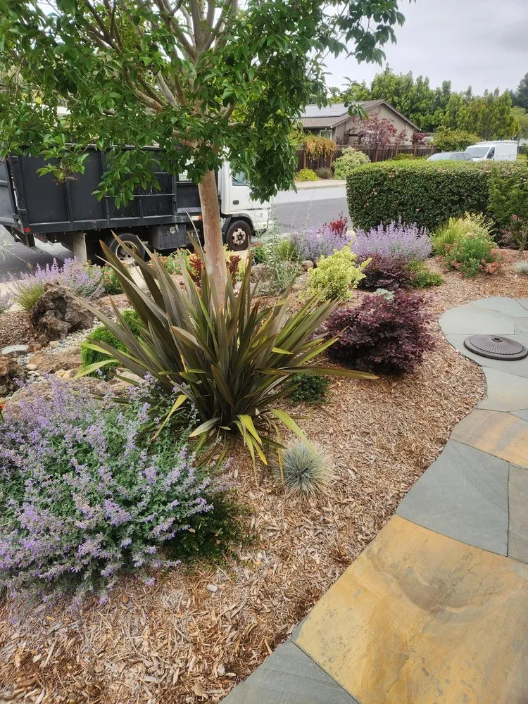Custom outdoor landscaping for outdoor upgrades across Redwood City, CA - John B Molinari Landscape Construction