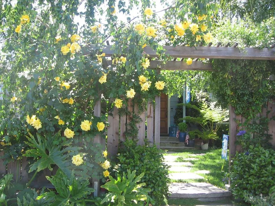 Affordable residential landscaping for residential properties across Redwood City, CA - John B Molinari Landscape Construction