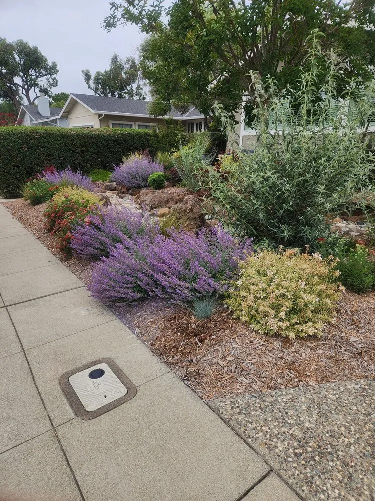 Reliable lawn care service in Redwood City, CA - John B Molinari Landscape Construction