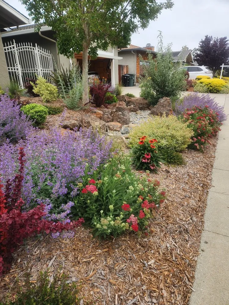 Custom garden landscaping in Redwood City, CA by John B Molinari Landscape Construction