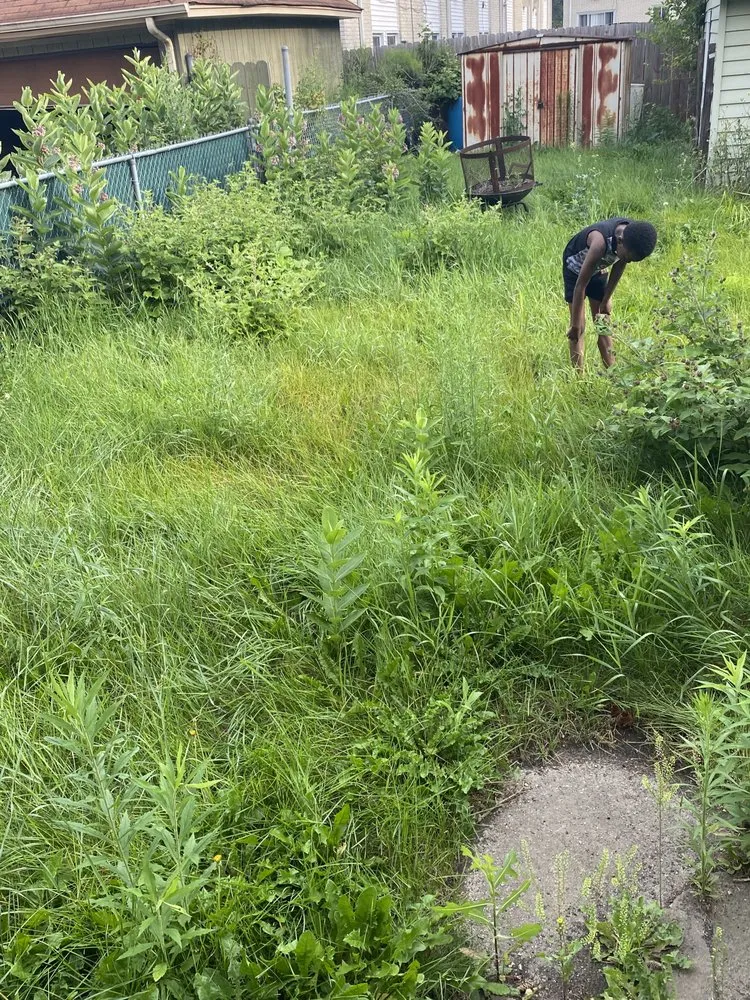 Expert landscape installation in Racine, WI by John Boyz Lawncare & Moving