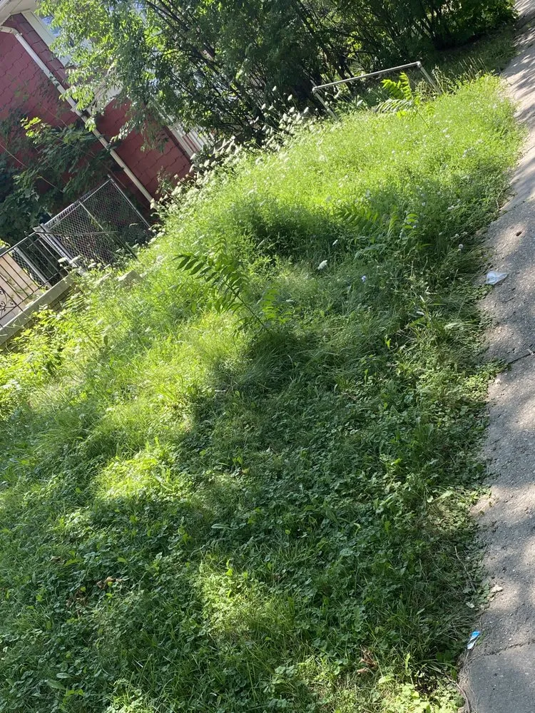 Expert landscape design in Racine, WI by John Boyz Lawncare & Moving