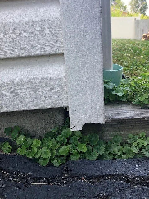 Custom yard maintenance for residential properties in Nanuet, NY by John Cameron Landscaping