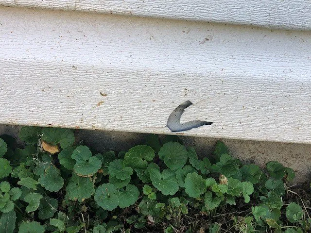 Reliable landscape installation near you in Nanuet, NY by John Cameron Landscaping