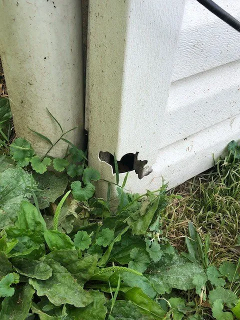 Affordable residential landscaping in Nanuet, NY - John Cameron Landscaping