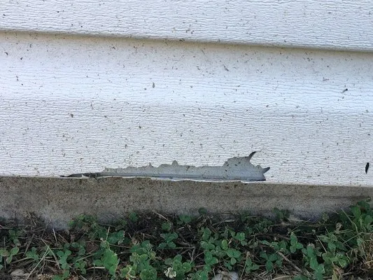 John Cameron Landscaping