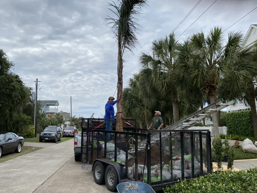 Trusted lawn mowing service experts serving Houston, TX - John Chico's