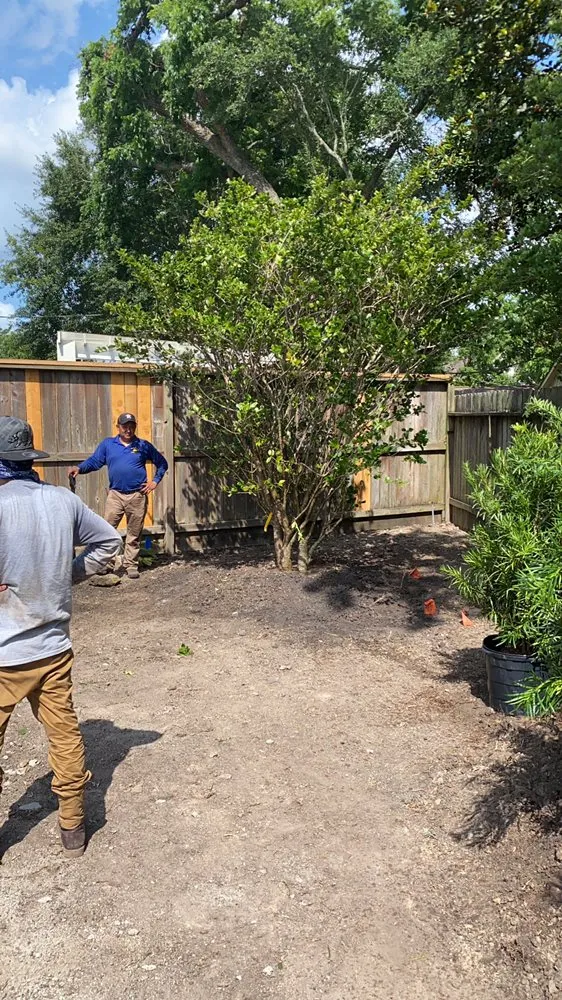 Trusted landscaping services in Houston, TX - John Chico's