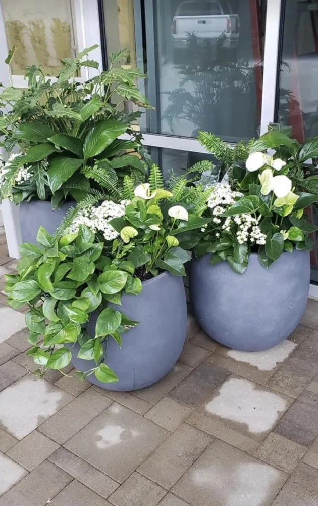 Reliable yard maintenance in Houston, TX by John Chico's