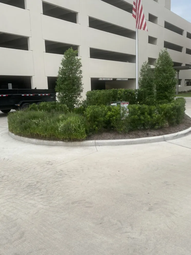 Reliable landscape design for beautiful yards in Houston, TX by John Chico's