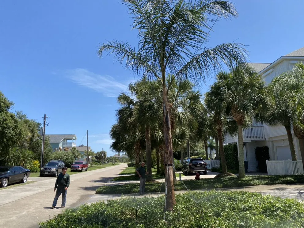 Reliable lawn mowing service experts serving Houston, TX - John Chico's