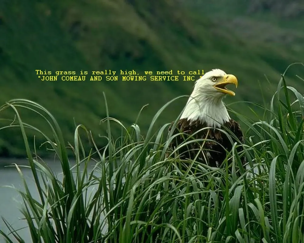 Reliable lawn care service in Port Charlotte, FL by John Comeau & Son Mowing Services