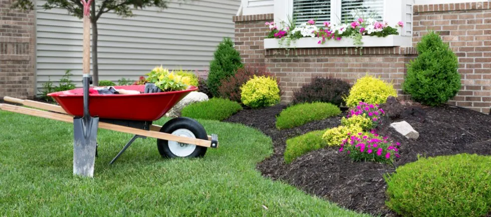 Top-rated landscaping services in Fort Myers, FL - John Conte Lawn Service