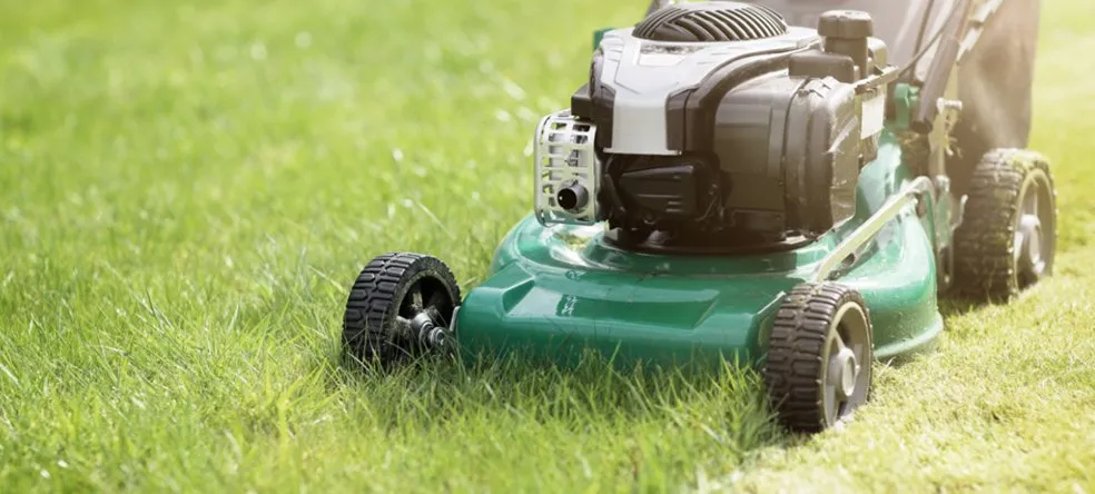 Affordable lawn mowing service with custom design in Fort Myers, FL by John Conte Lawn Service
