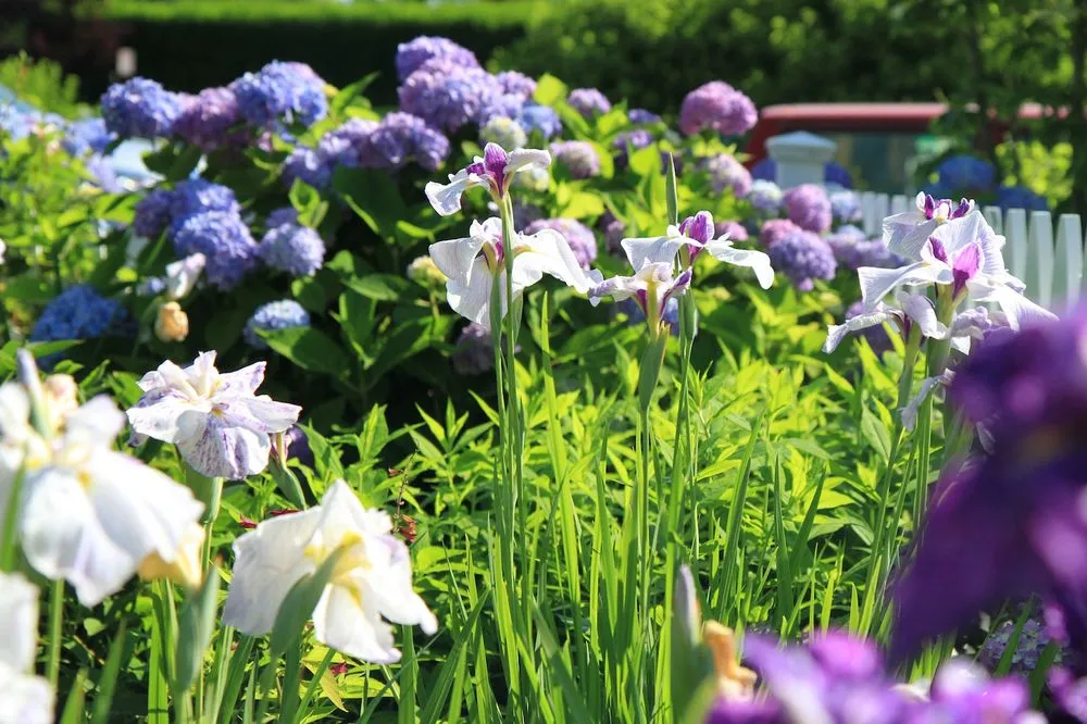 Reliable yard cleanup service for homes across Southampton, NY - John Cowen Landscape Associates