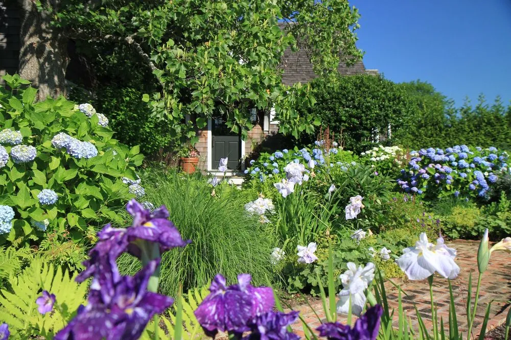 Professional yard cleanup service for residential properties in Southampton, NY by John Cowen Landscape Associates