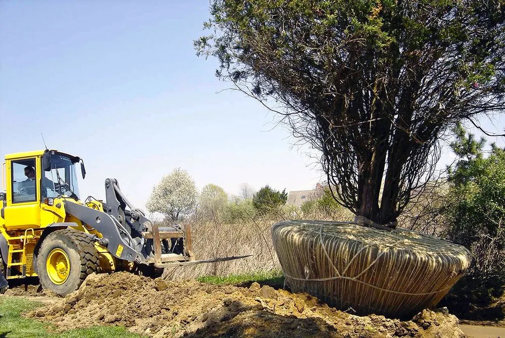 Custom residential landscaping for outdoor upgrades across Southampton, NY - John Cowen Landscape Associates