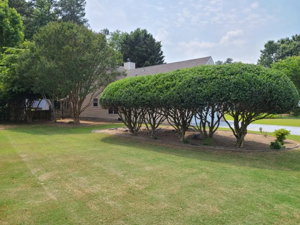 Reliable lawn mowing service for homes across Buford, GA - John D Services