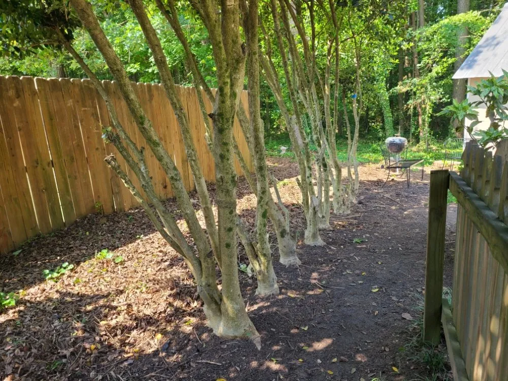 Local landscaping services near you in Buford, GA by John D Services