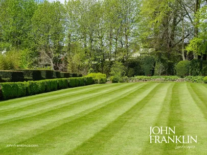 Reliable yard cleanup service in Alpharetta, GA by John Franklin Landscapes