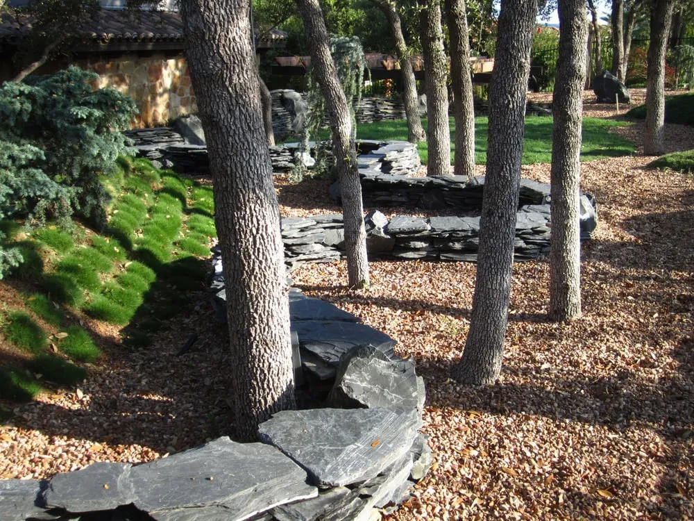 Expert landscape design with custom design in Austin, TX by John Garrett Design