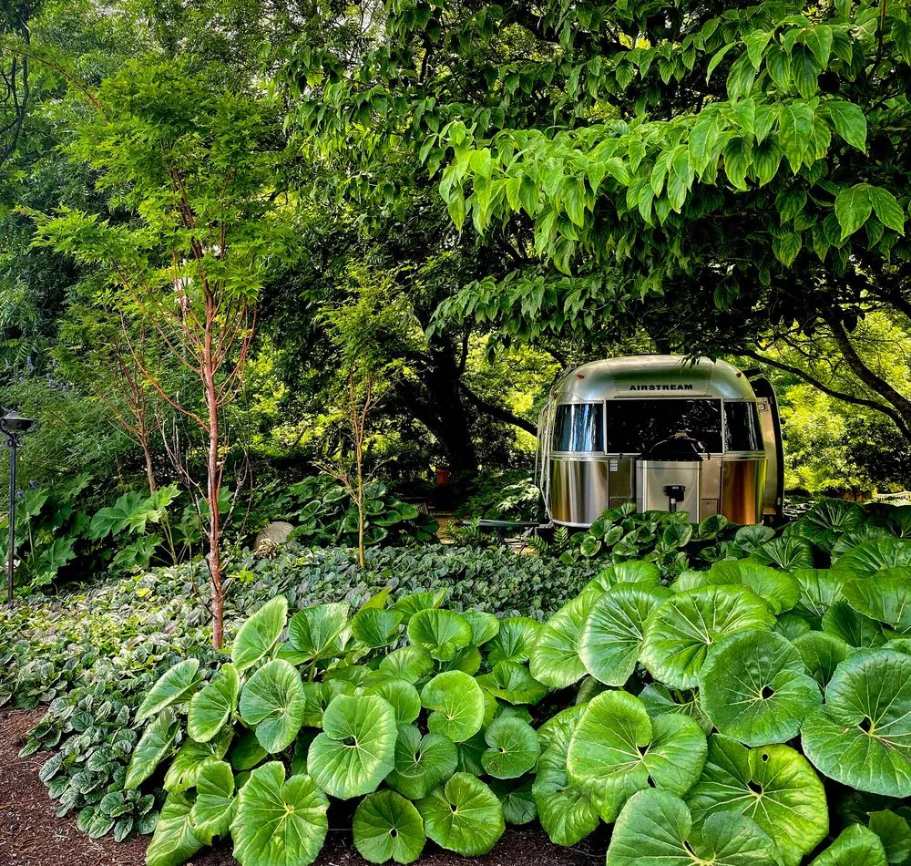 Professional landscaping services for residential properties in Austin, TX by John Garrett Design