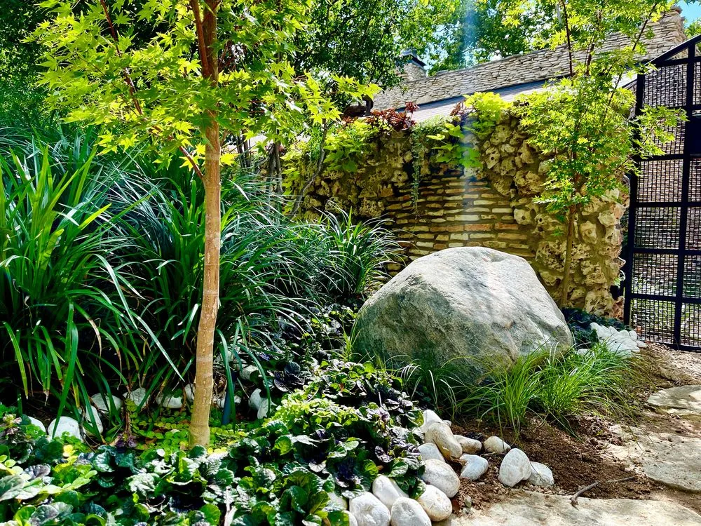 Affordable yard cleanup service experts serving Austin, TX - John Garrett Design